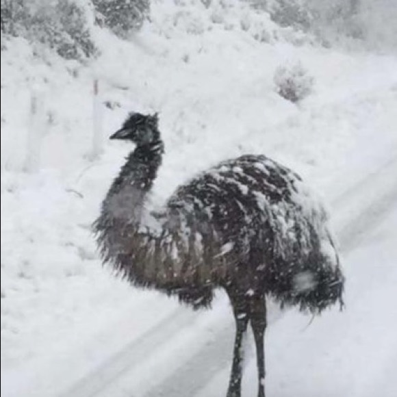 Winter Coat Great Buy Preloved - Picture 8 of 10